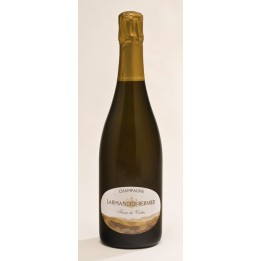Champagne Larmandier - Bernier "Terre de Vertus"  1er Cru 2007