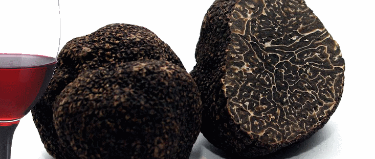 Accords vins - truffe Accords vins - truffe